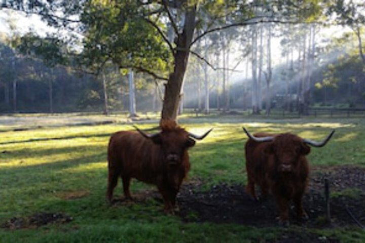 Glenhaven NSW Accommodation Brunswick Heads