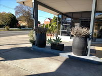 Country Motor Inn Singleton - Accommodation Nelson Bay