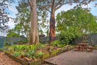The Pines Bed  Breakfast - Surfers Gold Coast