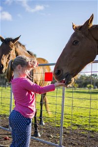 Freshwater Creek Cottages and Farm Stay - Accommodation Port Hedland