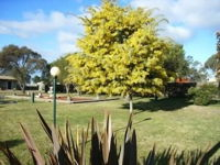 Bairnsdale Main Motel - Accommodation Bookings