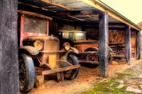 Bungaree Station - Accommodation Yamba