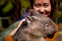 Fauna Australia Wildlife Retreat - Internet Find