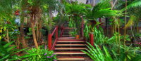 Maleny Tropical Retreat Balinese Bb - Accommodation Bookings