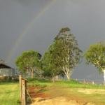 CBR Equine Cottage - Accommodation Bookings