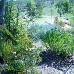 Old Miners Cottages Bed  Breakfast - Accommodation Brunswick Heads