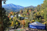 Bogong Village - Accommodation Tasmania