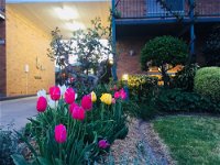 The Vines Motel and Cottages - Bundaberg Accommodation