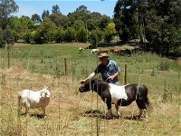 Country Cottages of Bridgetown - Australia Accommodation