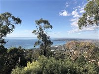 Dream Views at Arthurs Seat BB - Accommodation Tasmania