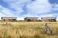 Savannah Cabins - Accommodation Australia