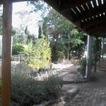Friends in Harcourt North - Accommodation Noosa
