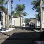 Injune Motel - Palm Beach Accommodation