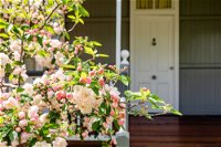 Apple Blossom Cottage - Palm Beach Accommodation