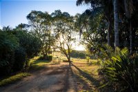 Hillview Cottages - Accommodation Noosa