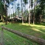 Fernglade on Menzies - Accommodation Bookings