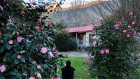 Mystic View Cottage Wandiligong - Accommodation Bookings