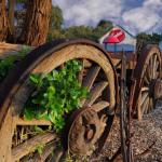 Bellum Hotel - Accommodation Mt Buller