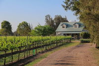 Emmas Cottage Vineyard