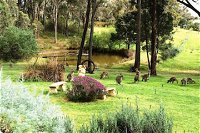 Countryside Connections Tranquil Studio - Accommodation Coffs Harbour
