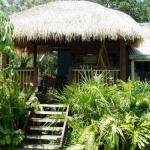 Mango Tourist Hostel - Accommodation NT