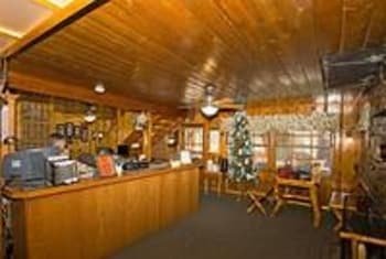 Golden Bear Cottages - Accommodation Texas