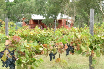Fergies Hill Spa Cottage @ Granite Ridge Wines with Sunshine Coast Tourism