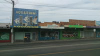 Harry's Fish  Chips - New South Wales Tourism 