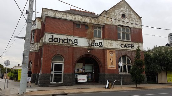 Dancing Dog Cafe - thumb 0