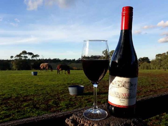 Arundel Farm Estate Winery - New South Wales Tourism 