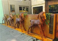 Four Ponies - Bundaberg Accommodation