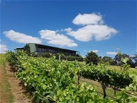 Traralgon Vineyard - Mackay Tourism