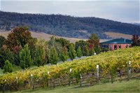 De Bortoli Winery  Restaurant - New South Wales Tourism 