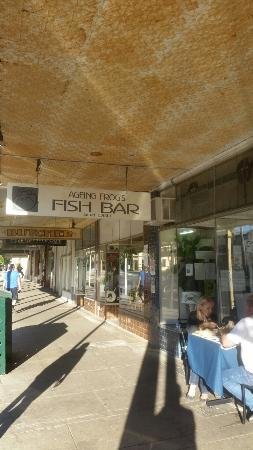 The Ageing Frog Fish Bar - Pubs Sydney