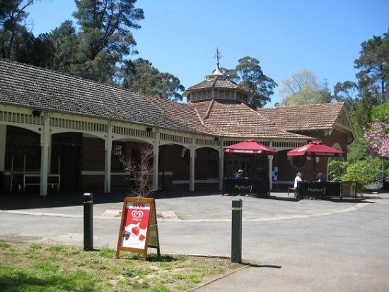 Hepburn Pavilion Cafe - Tourism TAS