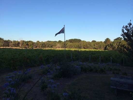 Lazzar Wines - Australia Accommodation