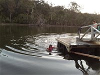 Mingling Waters - Accommodation Australia