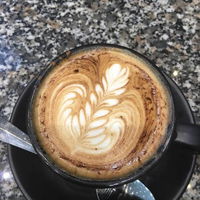 Mocha leaf cafe - Accommodation Coffs Harbour