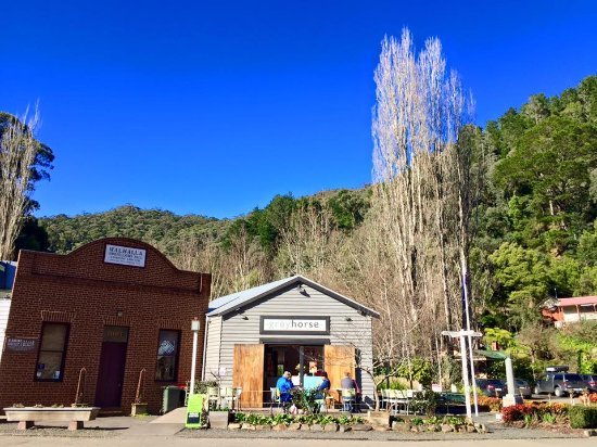 The Greyhorse Cafe - Great Ocean Road Tourism