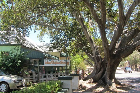 The Season Tree - New South Wales Tourism 