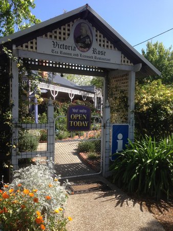 Victoria Rose Tea Rooms - New South Wales Tourism 