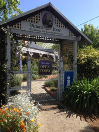 Victoria Rose Tea Rooms - Accommodation Cooktown