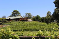 djinta djinta Winery - Accommodation Melbourne