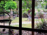 The Wander Inn - New South Wales Tourism 