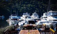 Echo on the Marina - Whitsundays Tourism