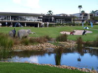 Bayview Golf Club - Tourism TAS