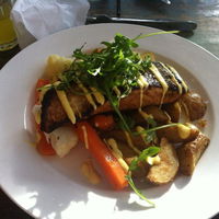 Juicy Goose - Accommodation Noosa