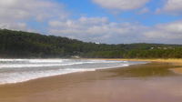 See Lion Kiosk Umina Beach - Northern Rivers Accommodation