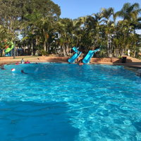 Blue Dolphin Holiday Resort - Maitland Accommodation