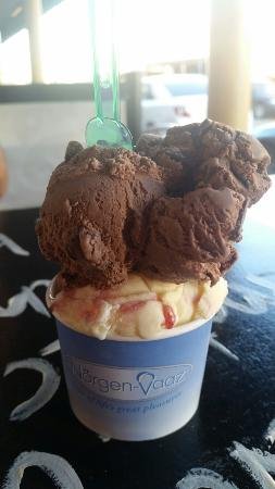 Windsor Ice Cream Cafe - Northern Rivers Accommodation